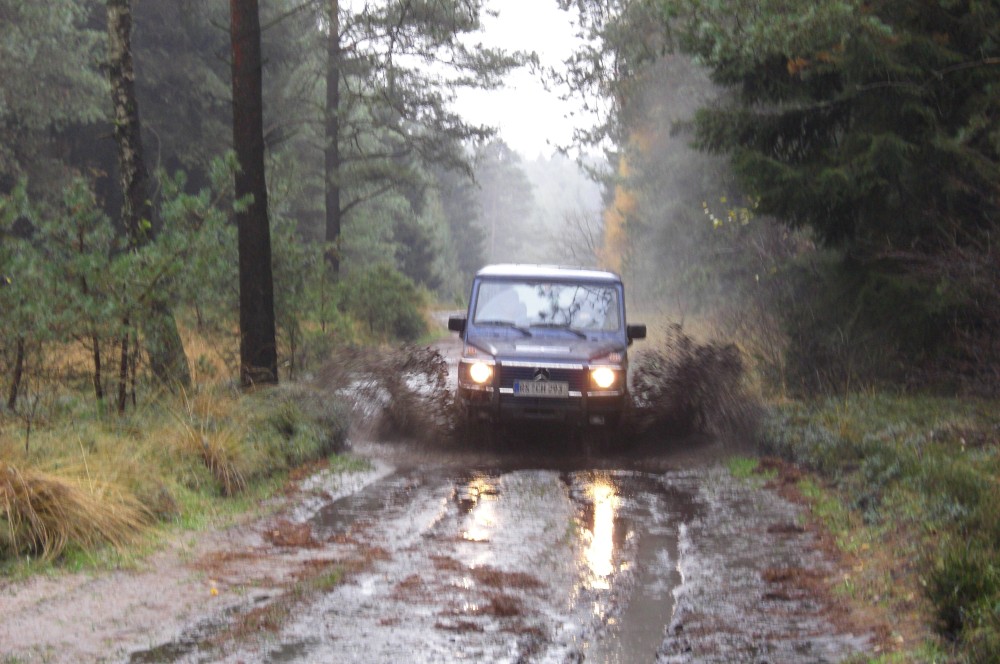 [Linked Image von gwagen.de]